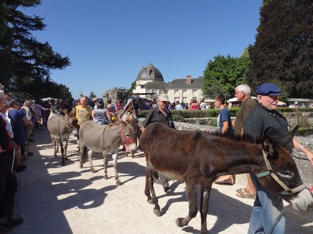 fete ane 2018 (56).JPG